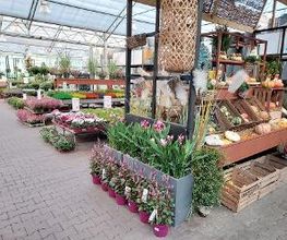 Intratuin Amersfoort afbeelding 1