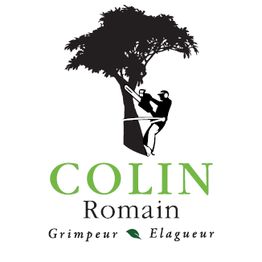 Colin Romain Grimpeur Elagueur