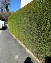 AMS Dienstleistungen Bild 10