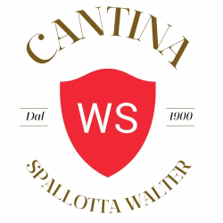 Cantina Spallotta Walter Snc logo