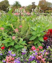 Paysagiste La Vergne Eric image 1