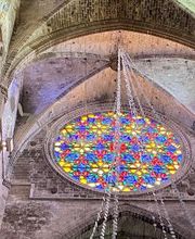 Mallorca Transfers Pellicer S.L imagen 7