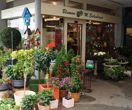 Blumen Eichenberger Horgen Bild 7
