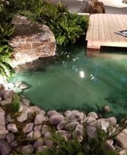 Teichbeleuchtung Pflege Garten