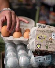 Netto - Günstig. Besser. Für dich. Bild 8