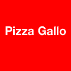 Pizza Gallo