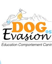 Dog Evasion 05 image 2