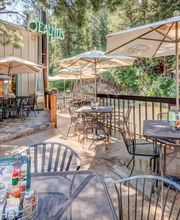 Beau Jo's Evergreen image 14