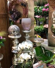 Blumen Interfleur Floristik & Wohnaccessoires Bild 10