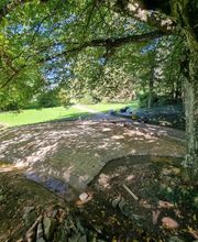 Bolliger Jardins Bild 6