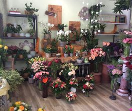 Blumenhaus Keusch Bild 1