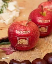 ASSOCIATION RESIDENCE MAISON DE PRESSY Fondation Marracci-Moricand-Dunant Bild 10