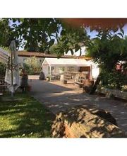 Blick im Sommer