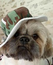 Le Salon des Stars image 14