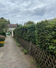 NG SERVICES BERLIN Bild 2