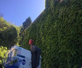 Jardin Bleu image 16