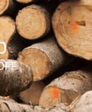 Forst Region Leuk Bild 1