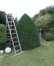 No Limit Gartengestaltung Bild 3