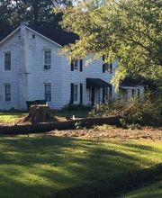 Southeast Tree image 18