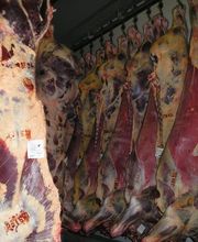 Geray Christophe image 1