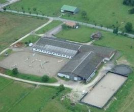 Equitation Passion image 12