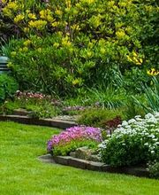 Braun Gartenbau AG Bild 1