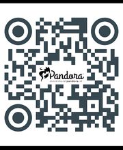Dierenhotel Pandora afbeelding 14