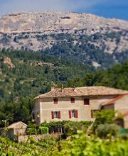 Domaine des Bernardins image 1