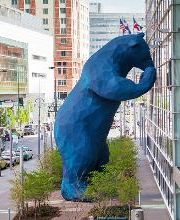 365 Limo Denver image 12