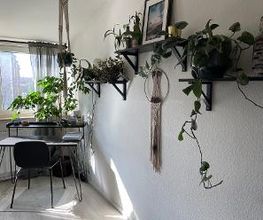IMMOKLAY Bild 4