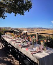 Captain Vineyards image 15