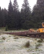 Entreprise forestière Sauser SA Bild 4