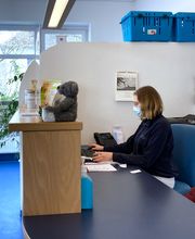 Tierarzt Schlüter Kiel, Tierarztpraxis Schlüter Bild 3