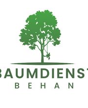 Baumdienst Behan Bild 6