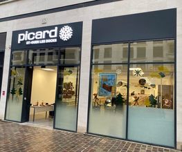 Picard image 3