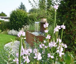 Garten + Rasen Jost AG Bild 3
