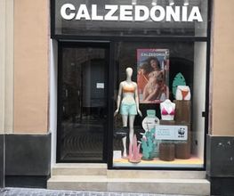 Calzedonia immagine 1