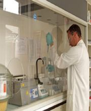 Brabant Sté Distillerie image 2