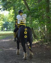 Reiterhof Daugzin C. Edel & E. Berkhahn GbR Bild 11