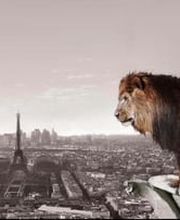 Assurance Generali - Alpha Assurances image 1