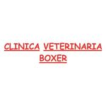 clinica-veterinaria-boxer_img7002t1.jpg