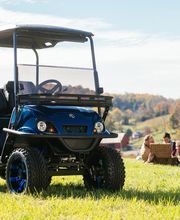 Cart Nation image 19
