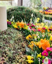 Genossenschaft Kölner Friedhofsgärtner eG Bild 7