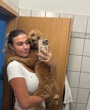 Hundetal Bild 5