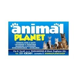 Animal Planet logo