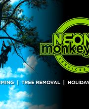 NEON Monkey Tree Services image 5