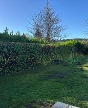 Daniel Moquet signe vos jardins - Ent. AJ Paysage image 9