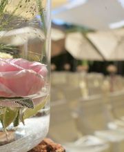 Wirtschaft Niesenberg Bild 2