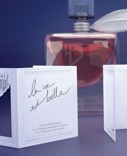 La coccinelle ZSW image 3