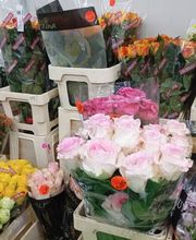 Decoflora GmbH Bild 11